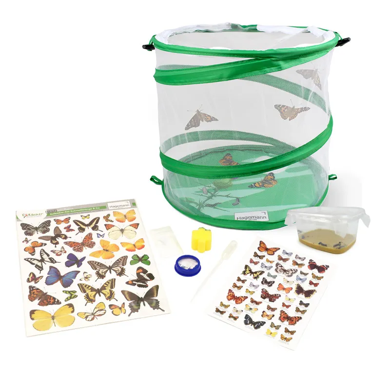 Kweekset "vlinders", compact, 7-delig