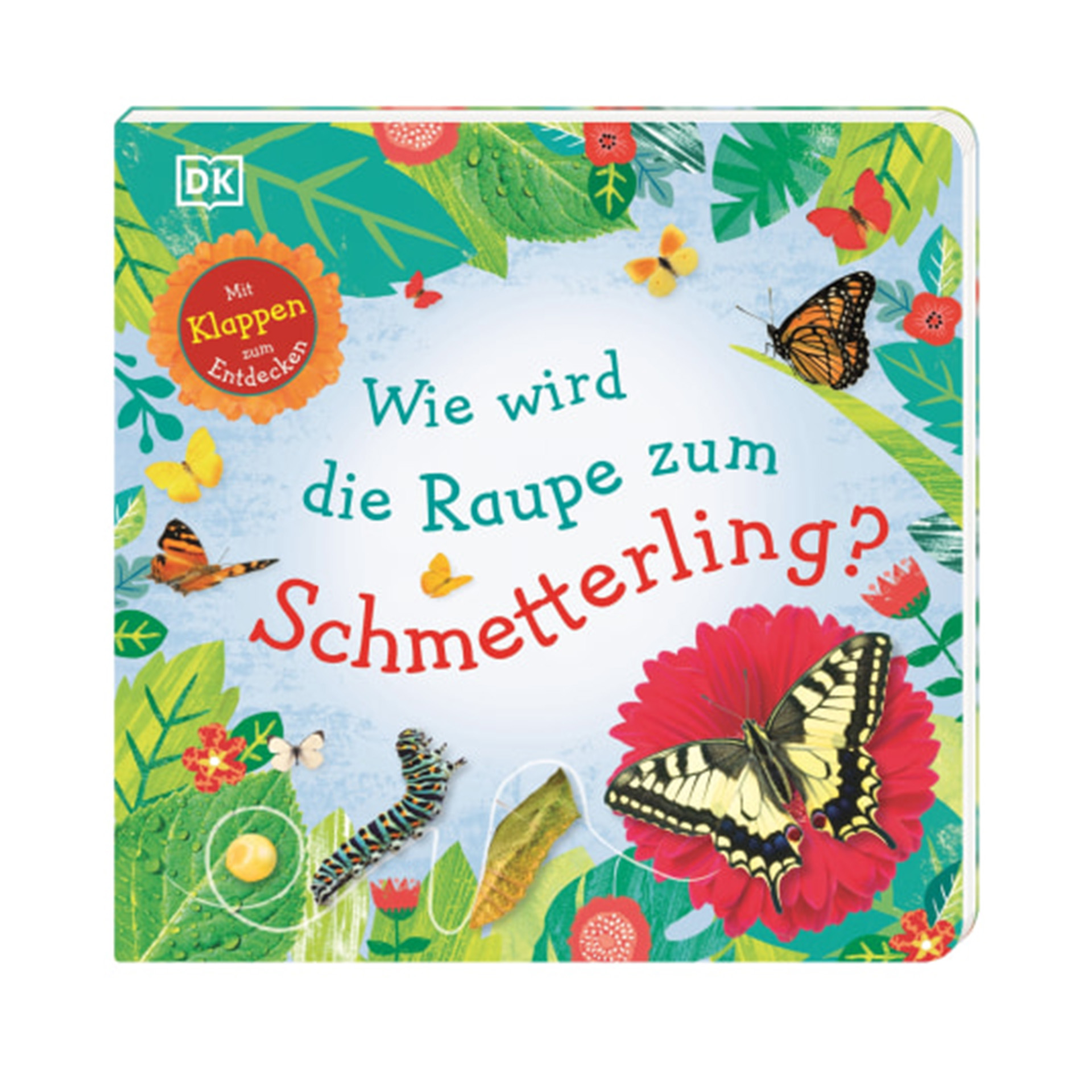 Buch "Wie wird die Raupe zum Schmetterling?", 18 Seiten