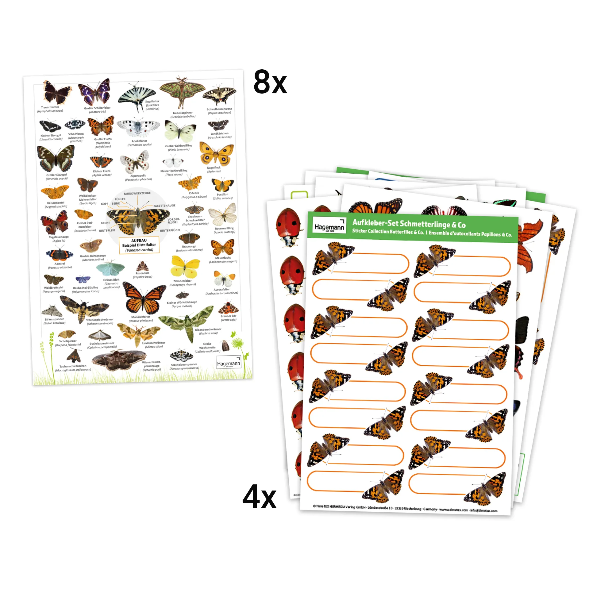 Klassen-Projektset "Schmetterlings-Zucht", 65-tlg.