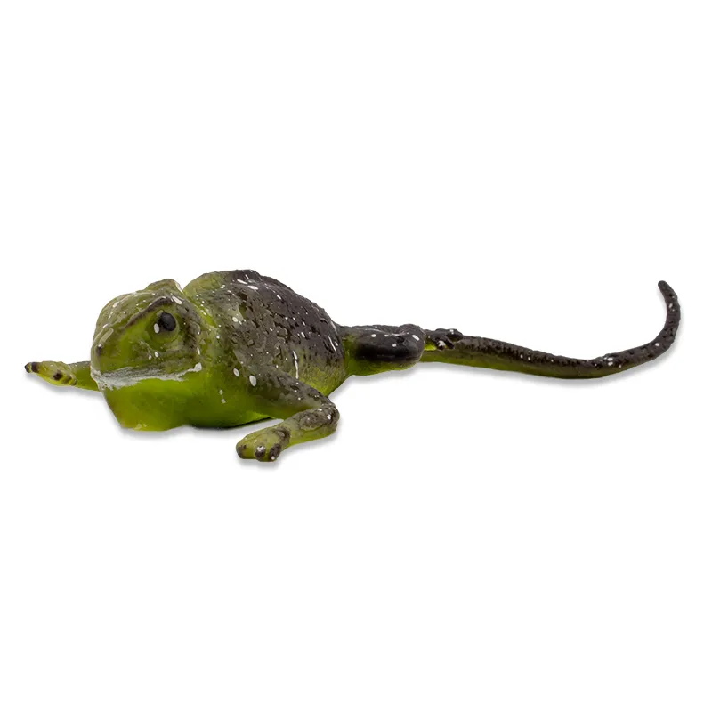 Farbwechselnde Eidechse, 12x5 cm