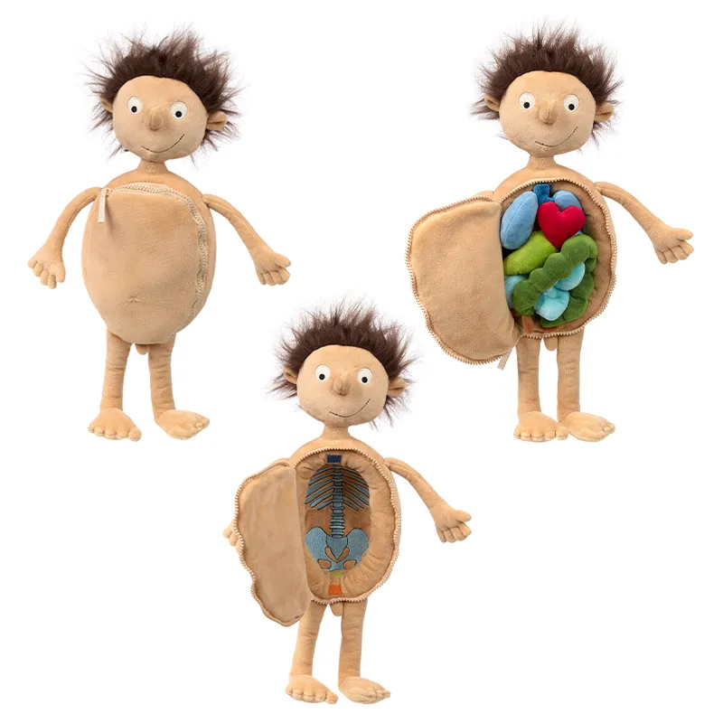 sigikid Lernpuppe "Erwins Körper", 44 cm
