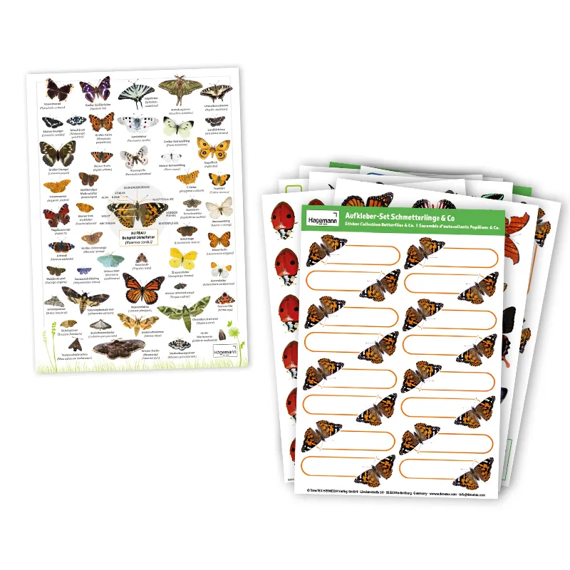 Zuchtset "Schmetterlinge", kompakt, 7-tlg.