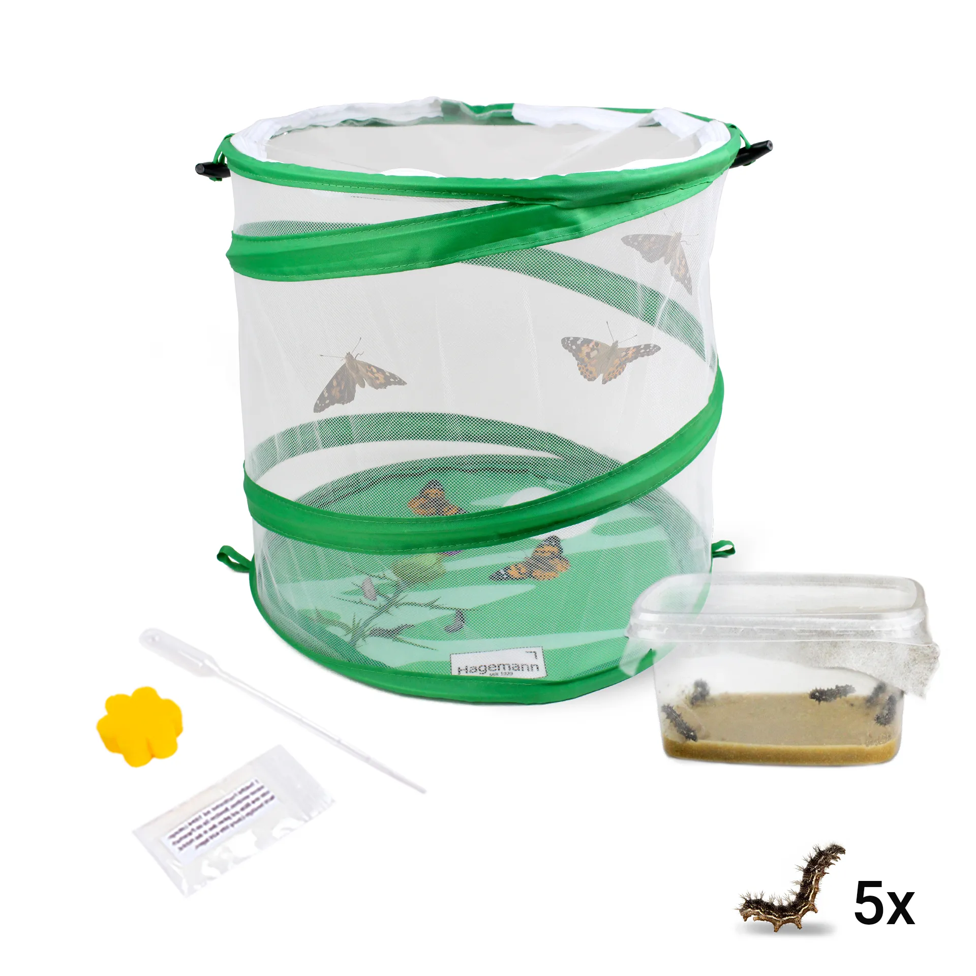 Zuchtset "Schmetterlinge", Starter-Set, 5-tlg.
