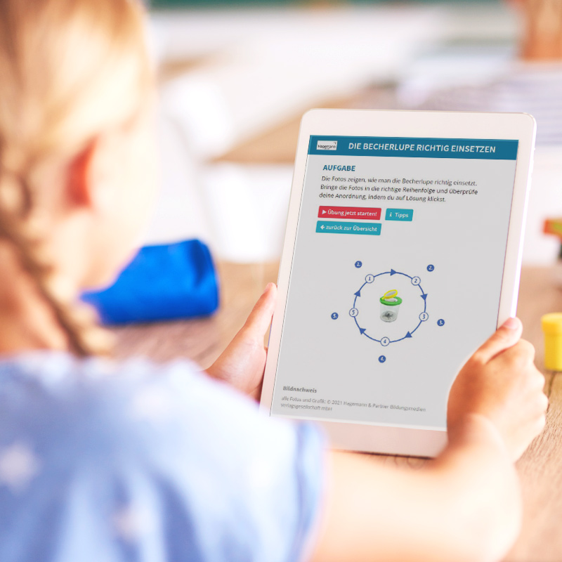 Pudełko z lupą, 2 powiększeniami i skalą