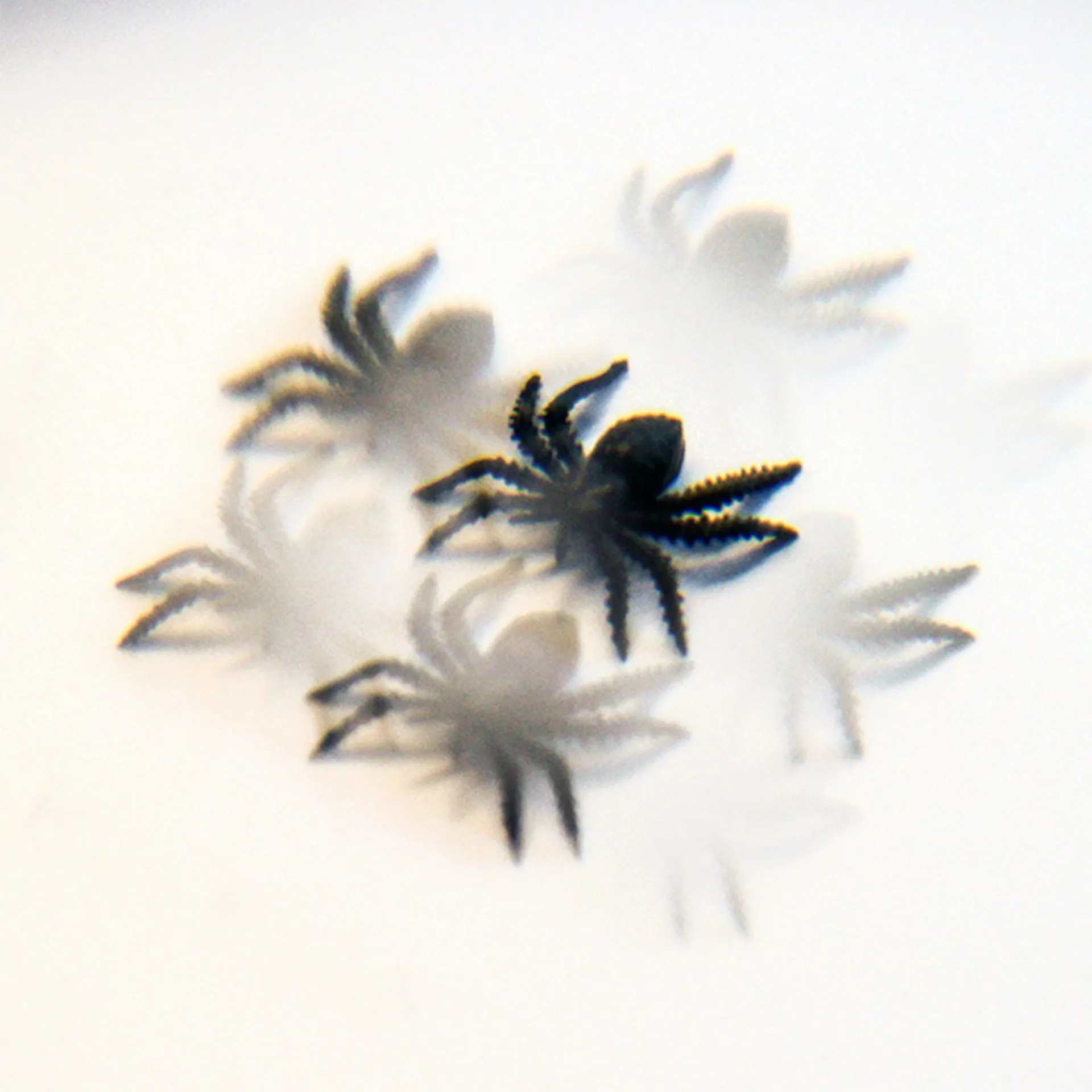 Facetten-Linse, 45 mm ø