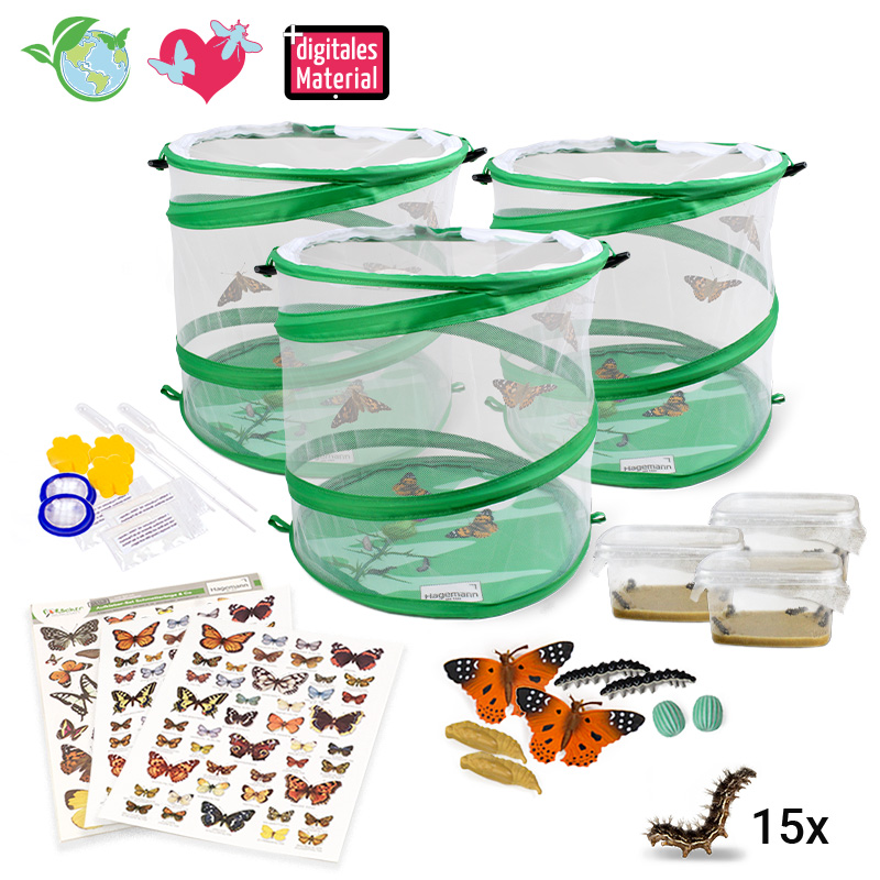 Gruppen-Projektset "Schmetterlinge", 21-tlg.