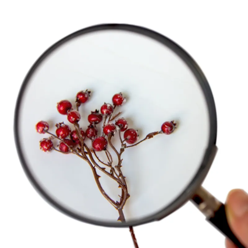 Profi-Lupe, 3-fache Vergrößerung