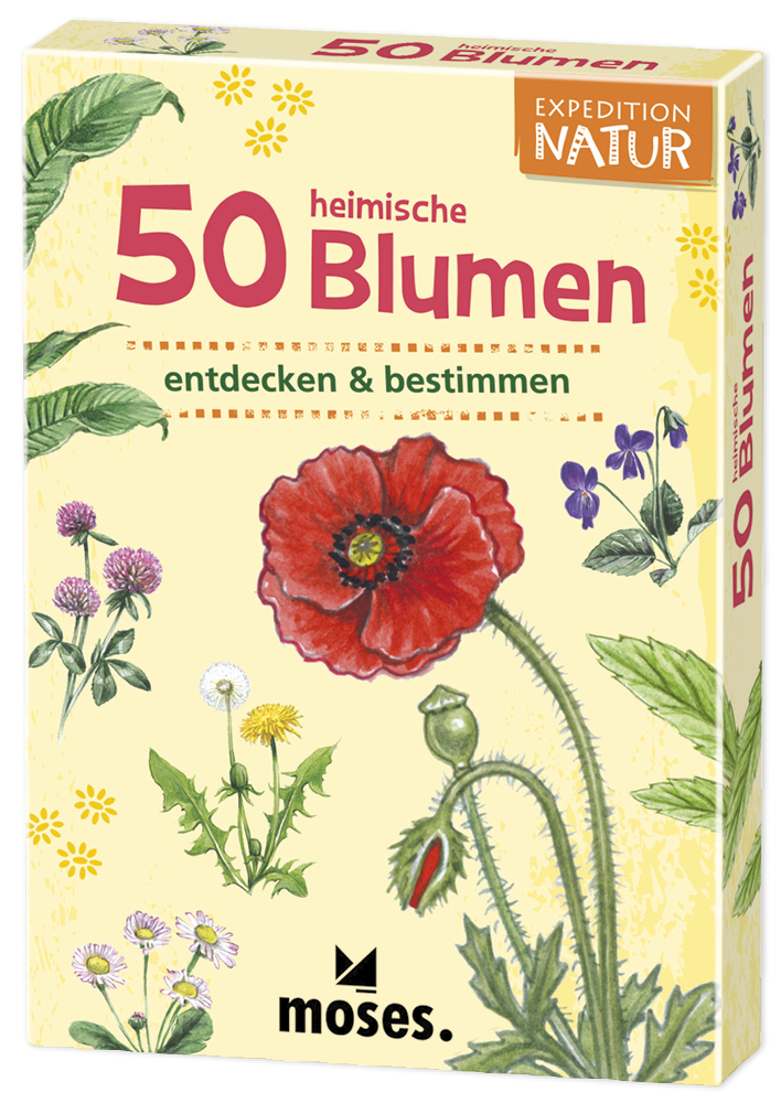 50 Heimische Blumen entdecken und bestimmen