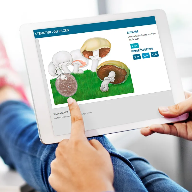 Zuchtset "Braunkappe", Pilze