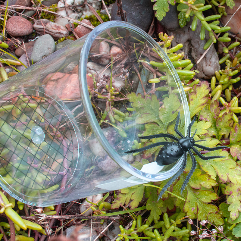 Pahar de observare insecte, 2 lupe și scară de măsurare