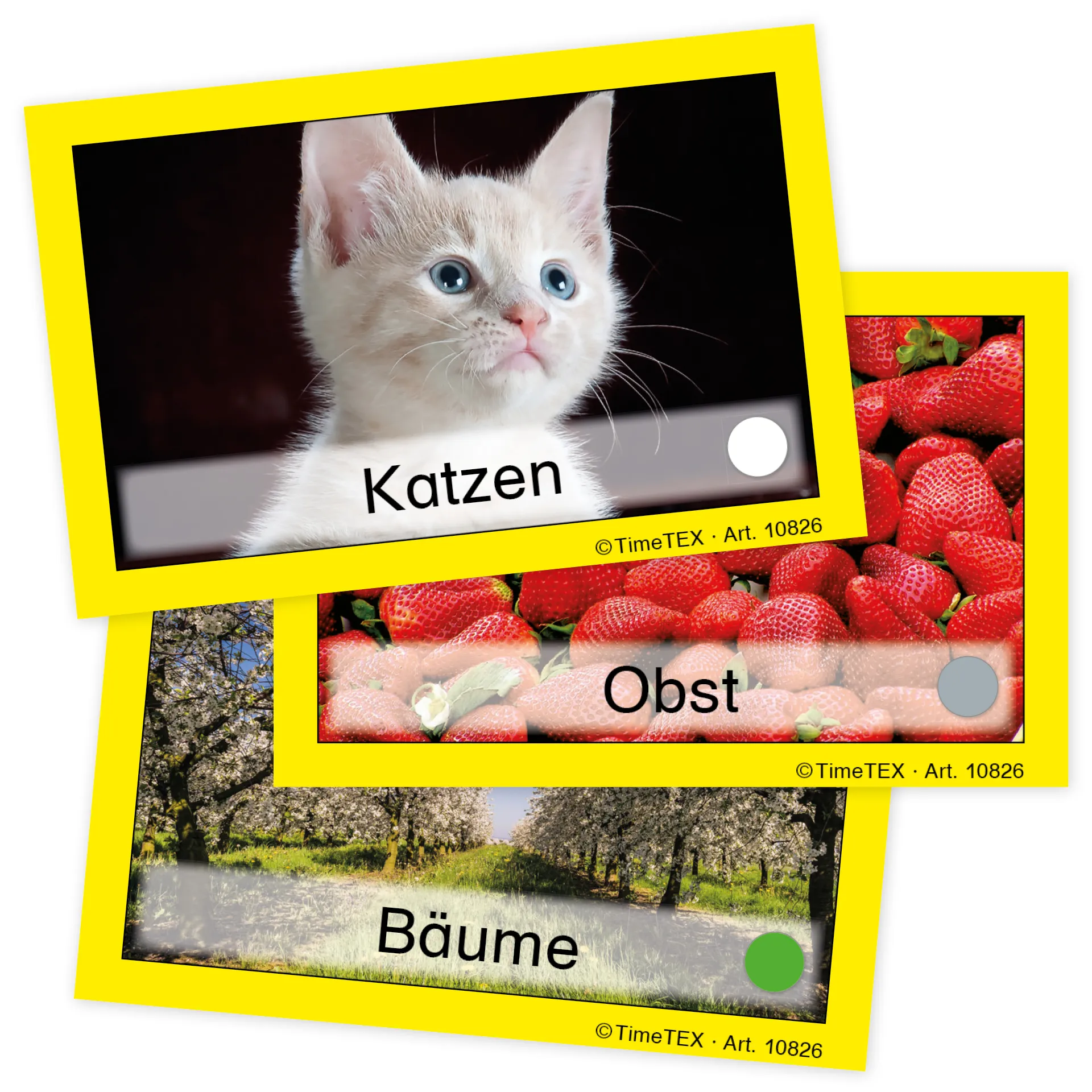 TimeTEX Team-Bildungs-Karten, 60-tlg. im Etui