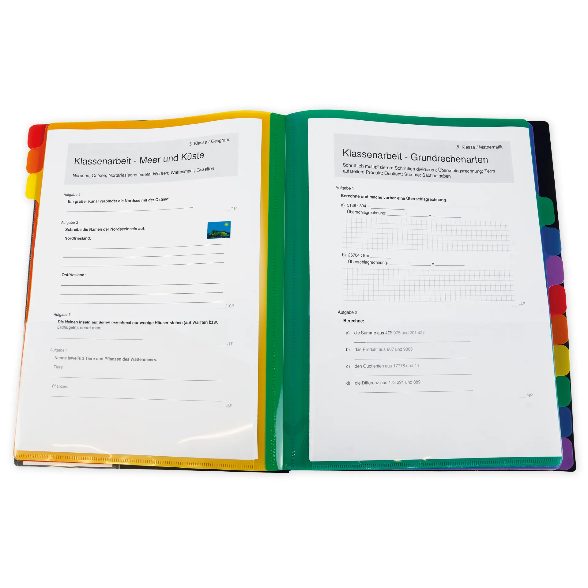 Teczka stołowa TimeTEX, wieloprzegródkowa, 1-12 formatu A4, kolorowa, z gumowym zamknięciem