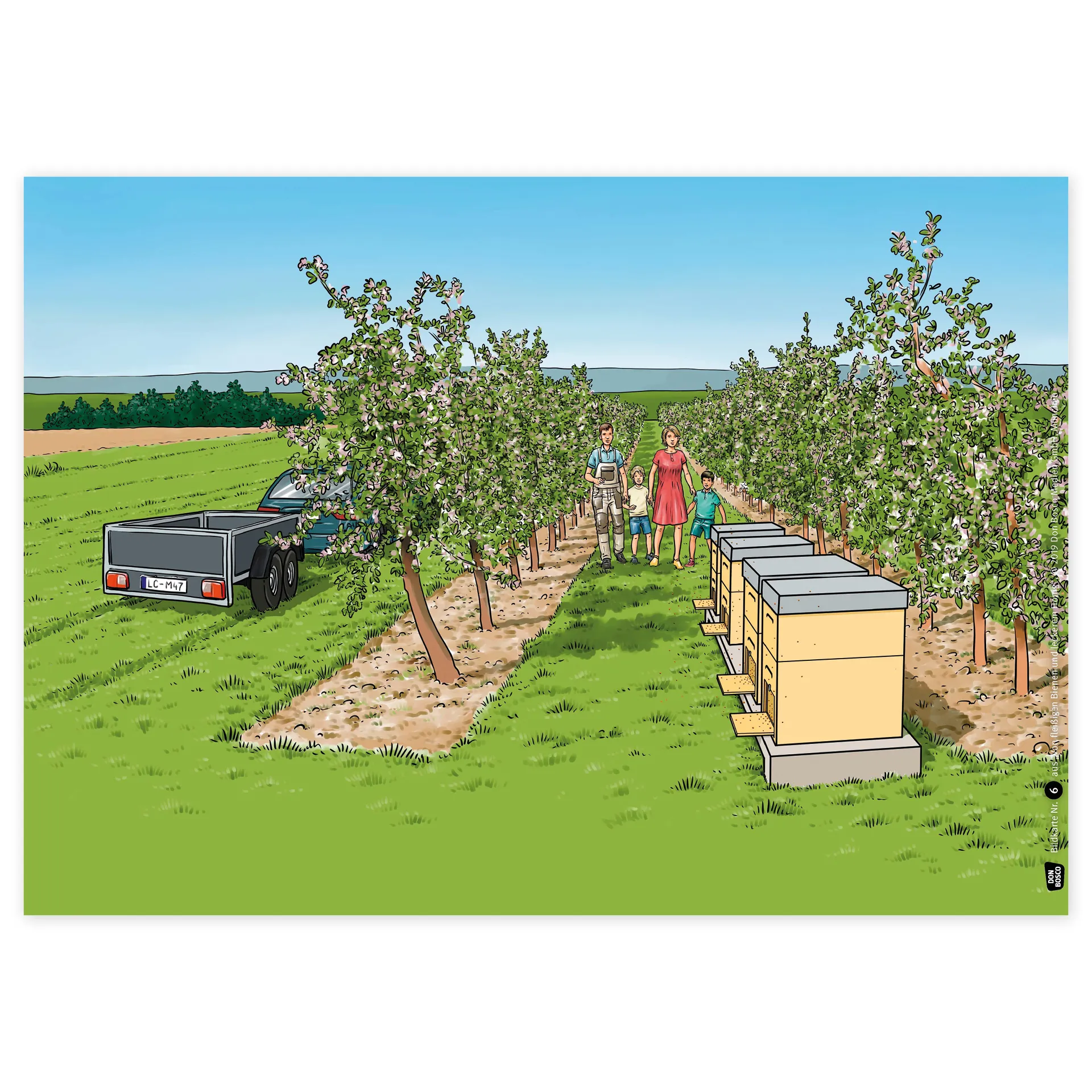 Bildergeschichten-Karten "Von fleißigen Bienen und leckerem Honig", 12-tlg.