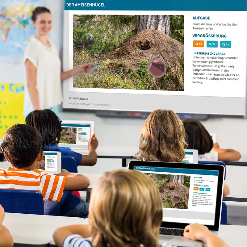 Beobachtungs-Set "Ameisen", 8-tlg.