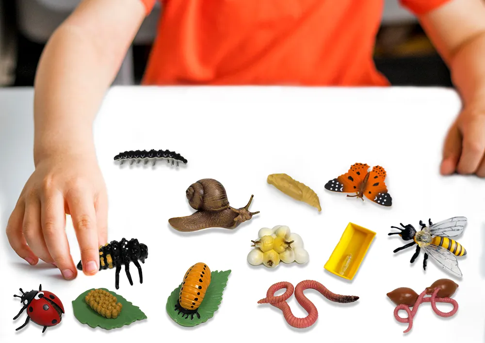 Set Lebenszyklus-Modell "Insekten & Co.", 20-tlg.