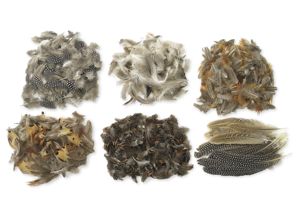 Hagemann Naturfedern, 6 Sorten