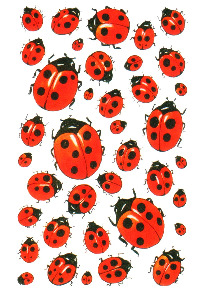 Belobigungs-Aufkleber "Marienkäfer", 228 Stück