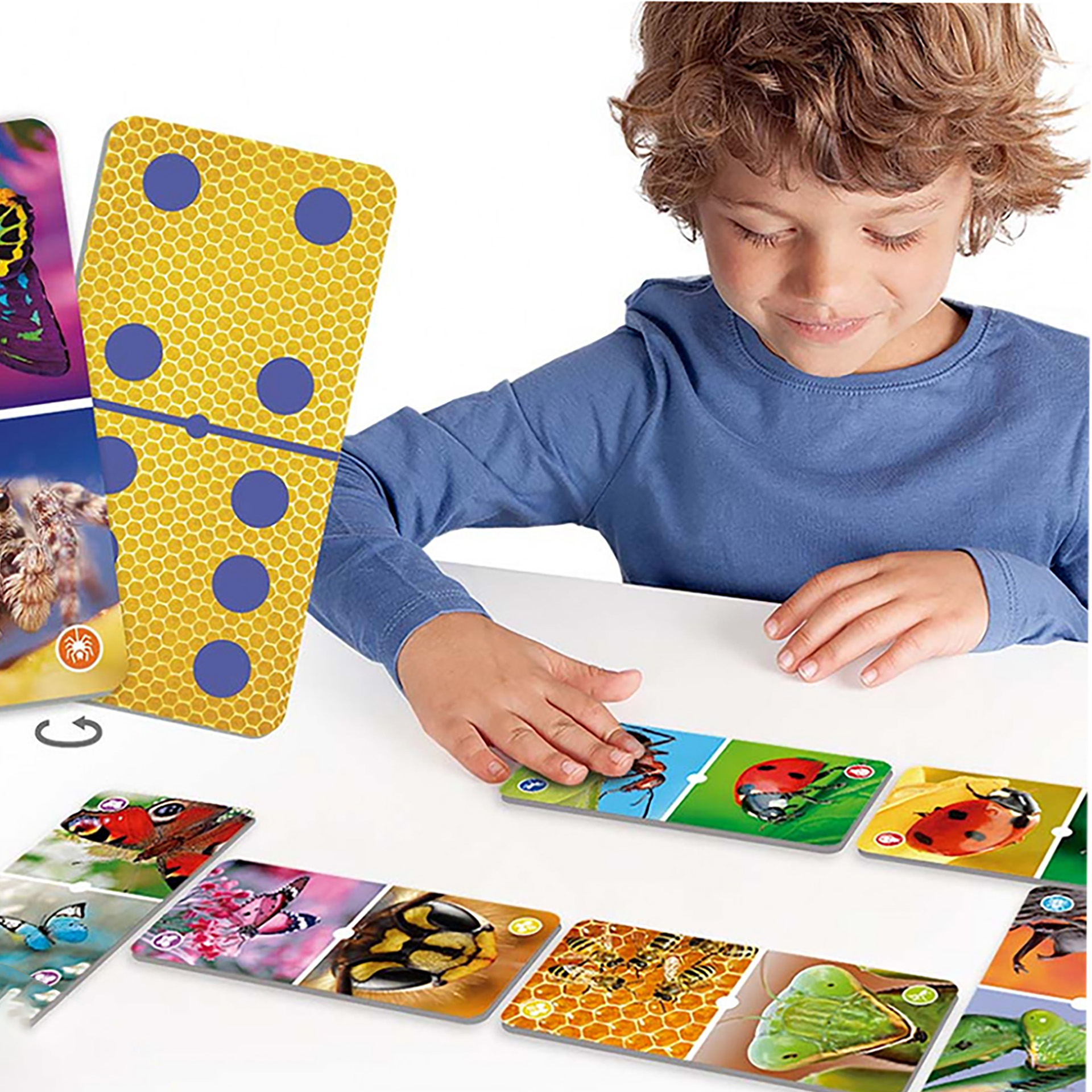 Domino z rysunkami owadów, 43 elementy