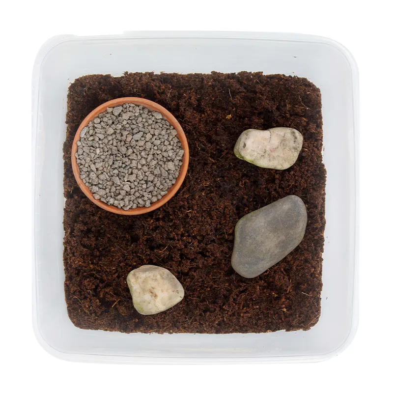 Gutschein-Set "Asseln", 10-tlg.