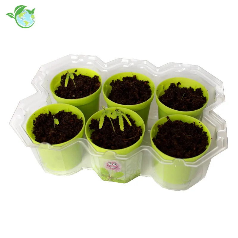 KOSMOS Zuchtset "Mimosen-Garten", 18-tlg.