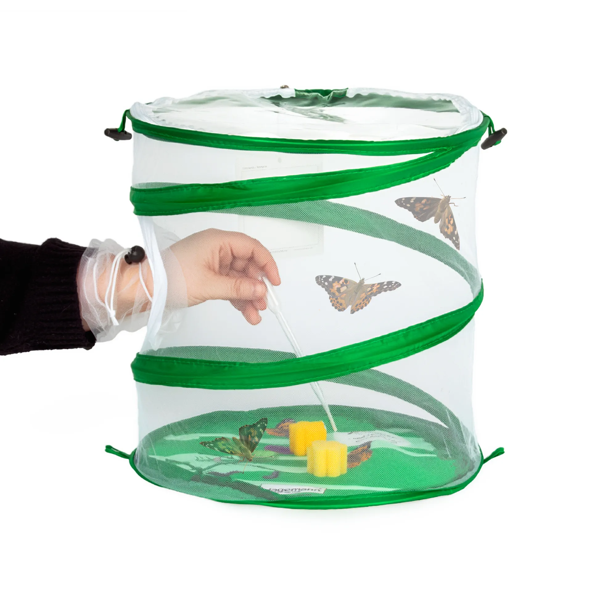 Zuchtset "Schmetterlinge", kompakt mit Komfort-Netz, 7-tlg.