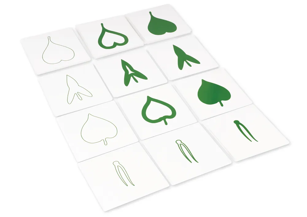 TimeTEX botanisk kortsæt "Montessori Premium"