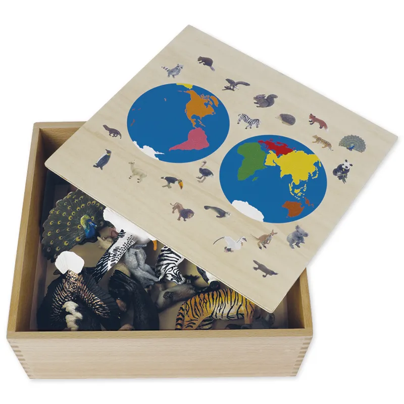 TimeTEX Animal Continent Box "Montessori Premium"