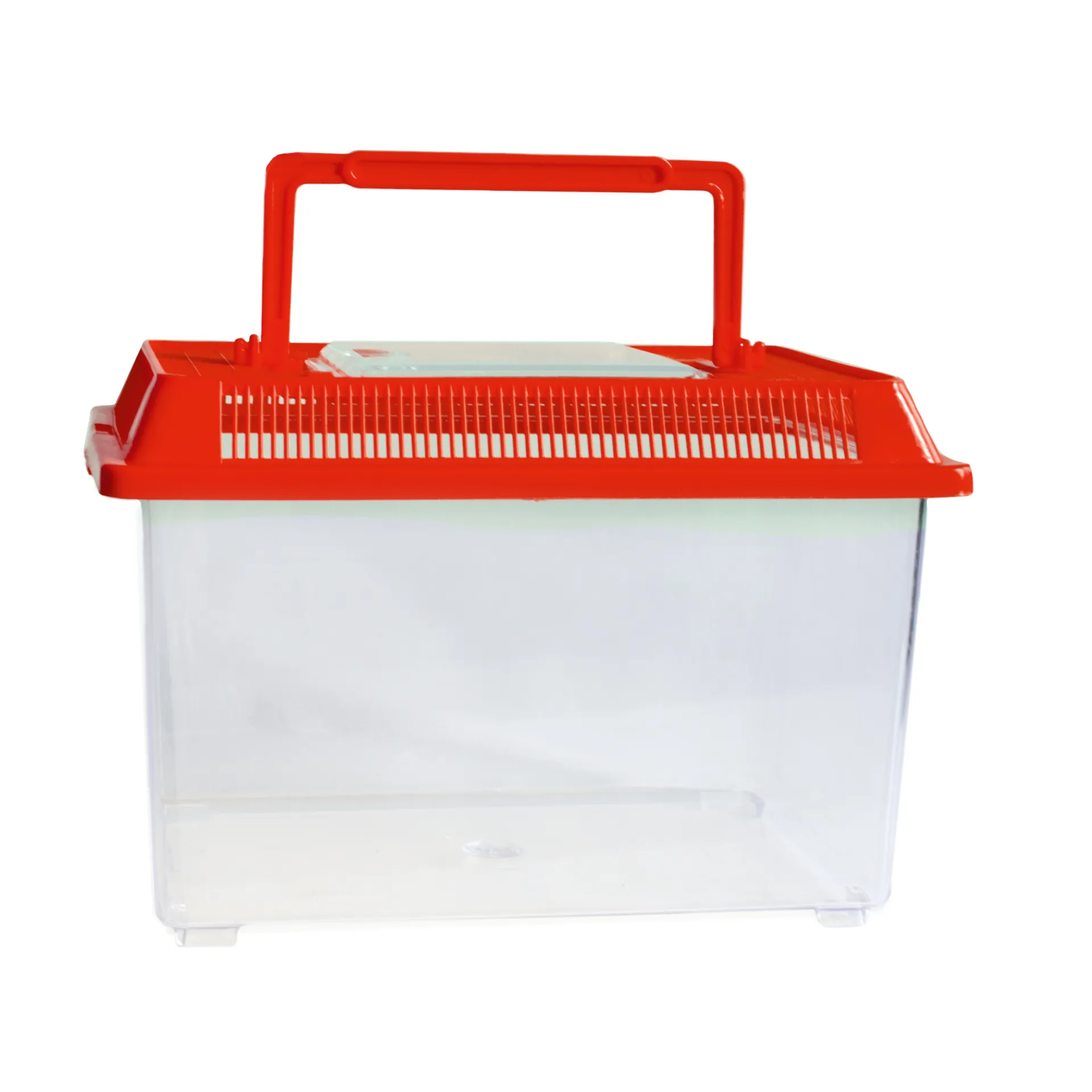 Insekten-Beobachtungsbox, aus Kunststoff