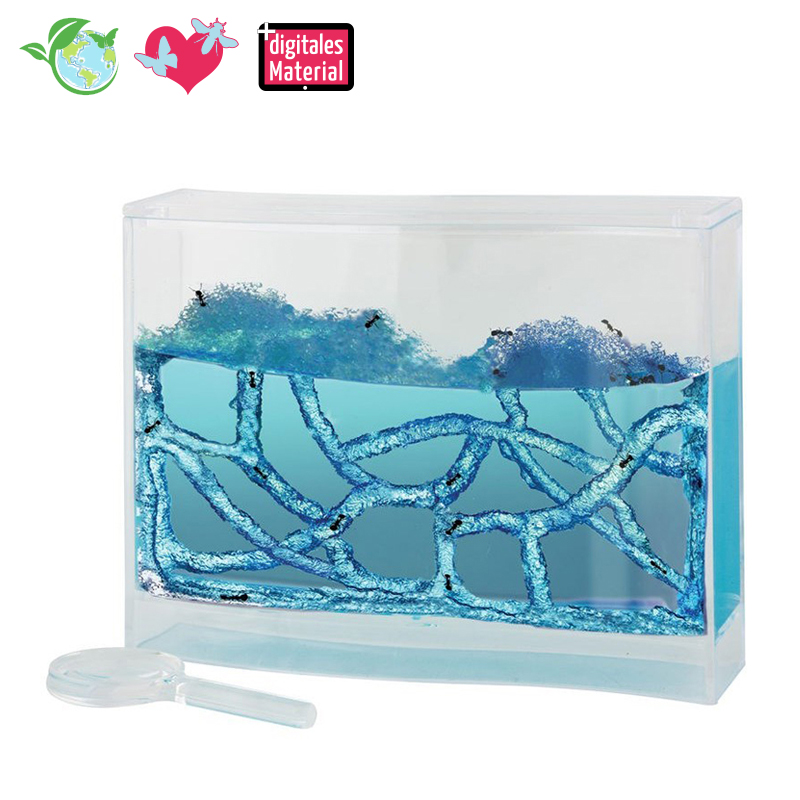 Beobachtungs-Set "Ameisen", 8-tlg.