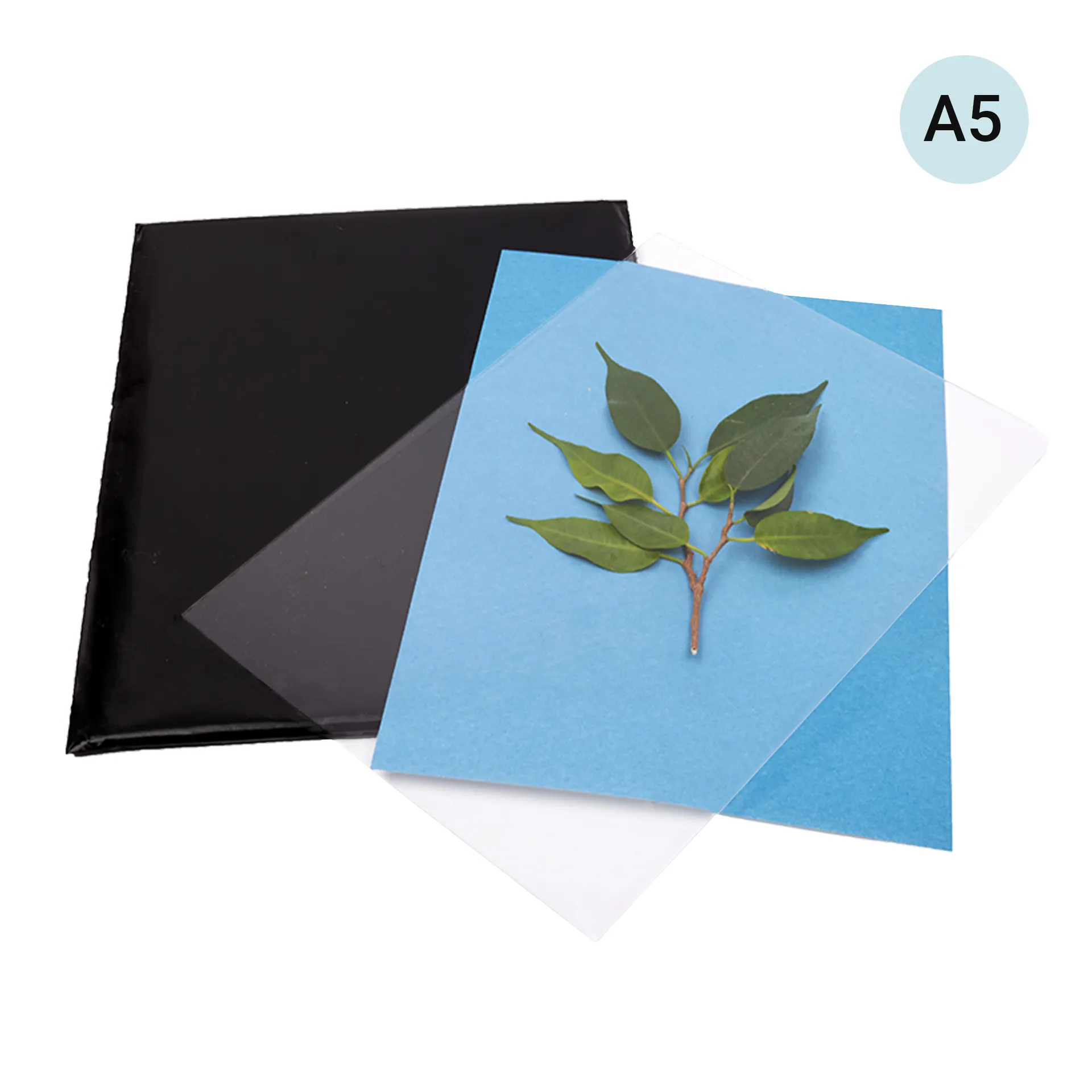Foto-Solarpapier A5, mit Fixierscheibe, 10 Blatt