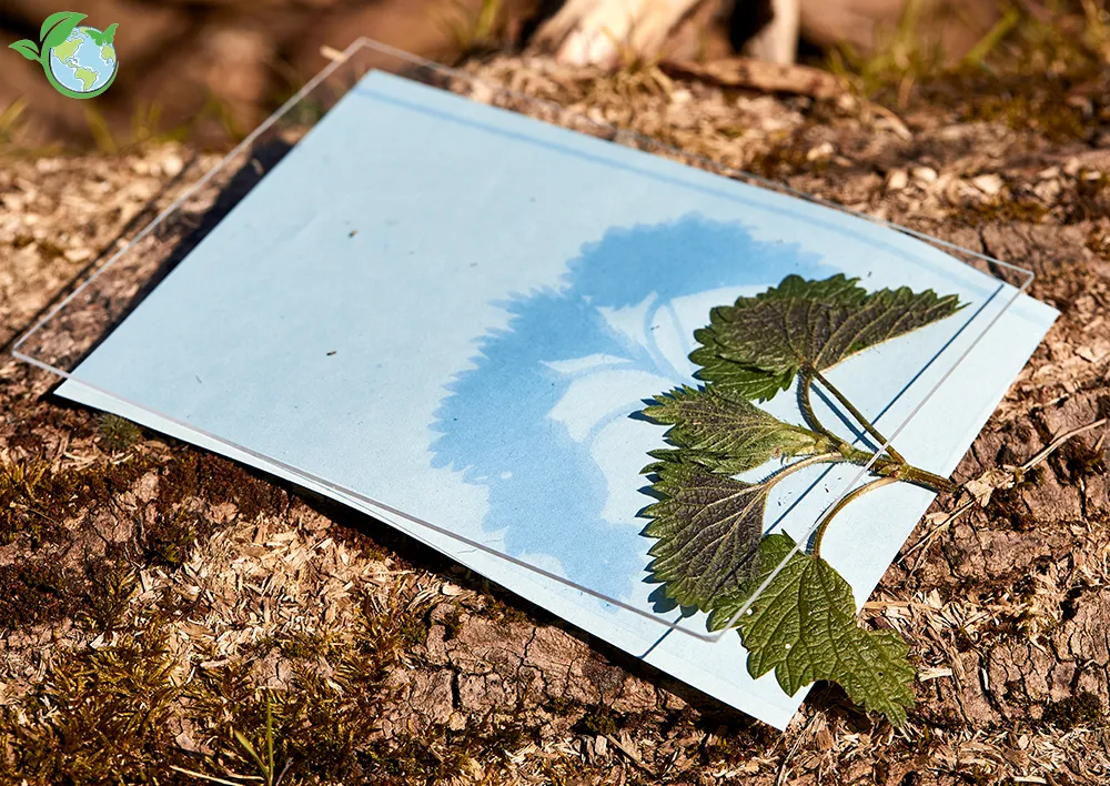 Foto-Solarpapier mit Fixierscheibe, 40 Blatt