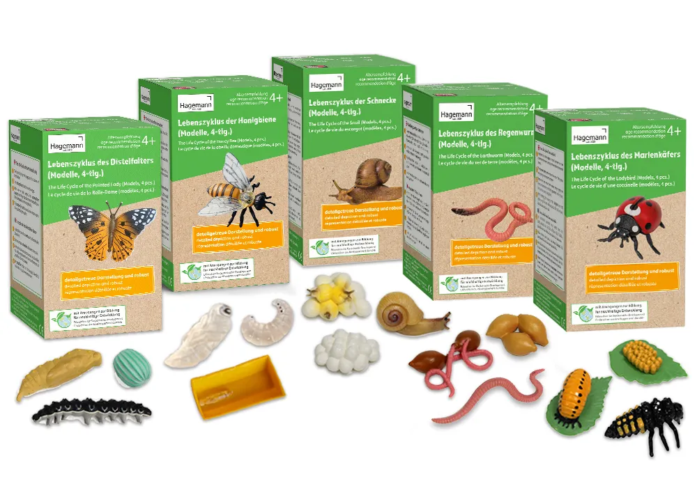 Set Lebenszyklus-Modell "Insekten & Co.", 20-tlg.