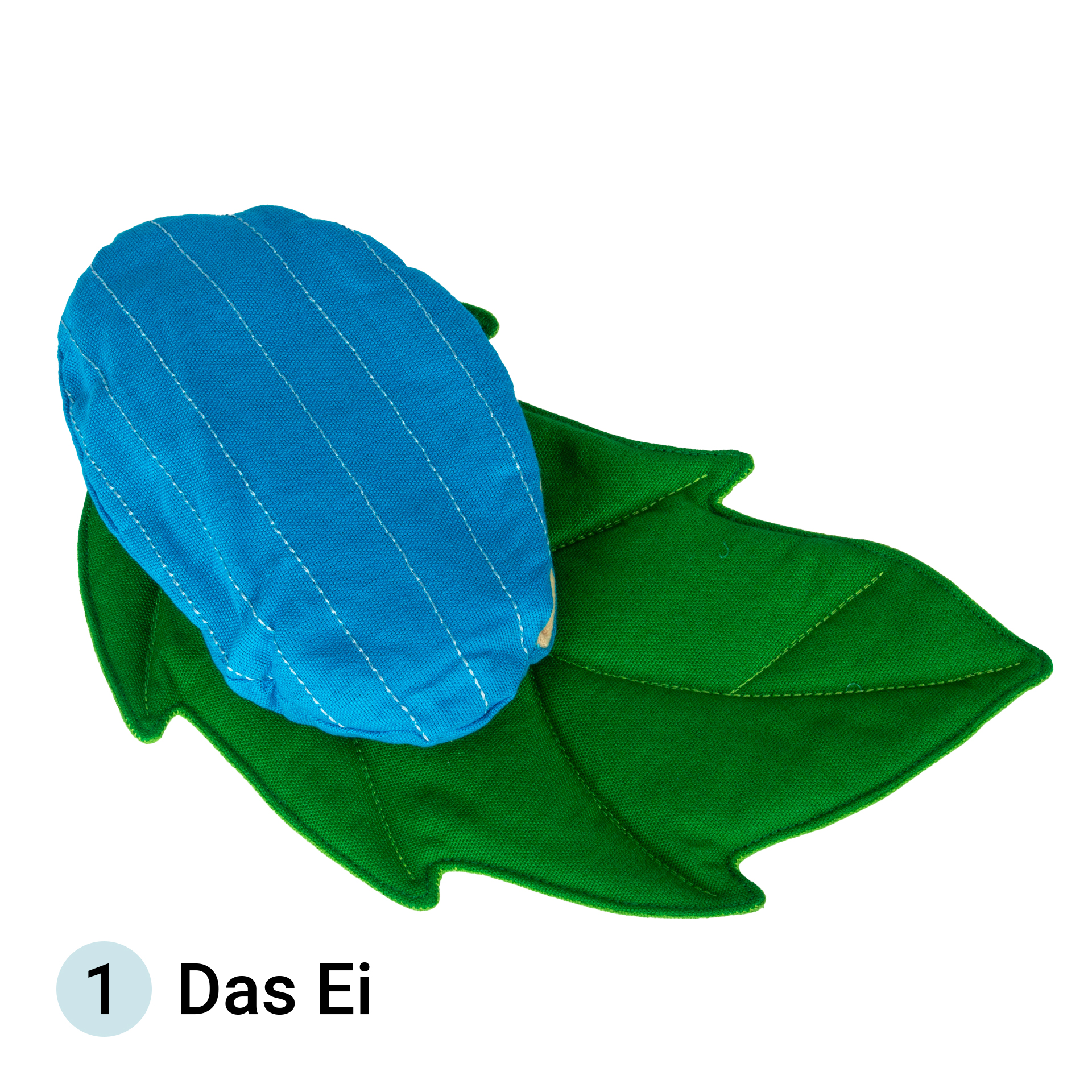 Levenscyclus vlinder, stoffen model, 3-delig