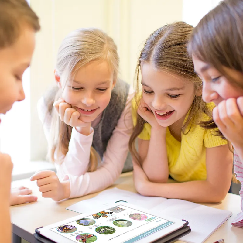 Didaktische DVD "Wohn- und Lebensräume von Tieren", tabletfähig