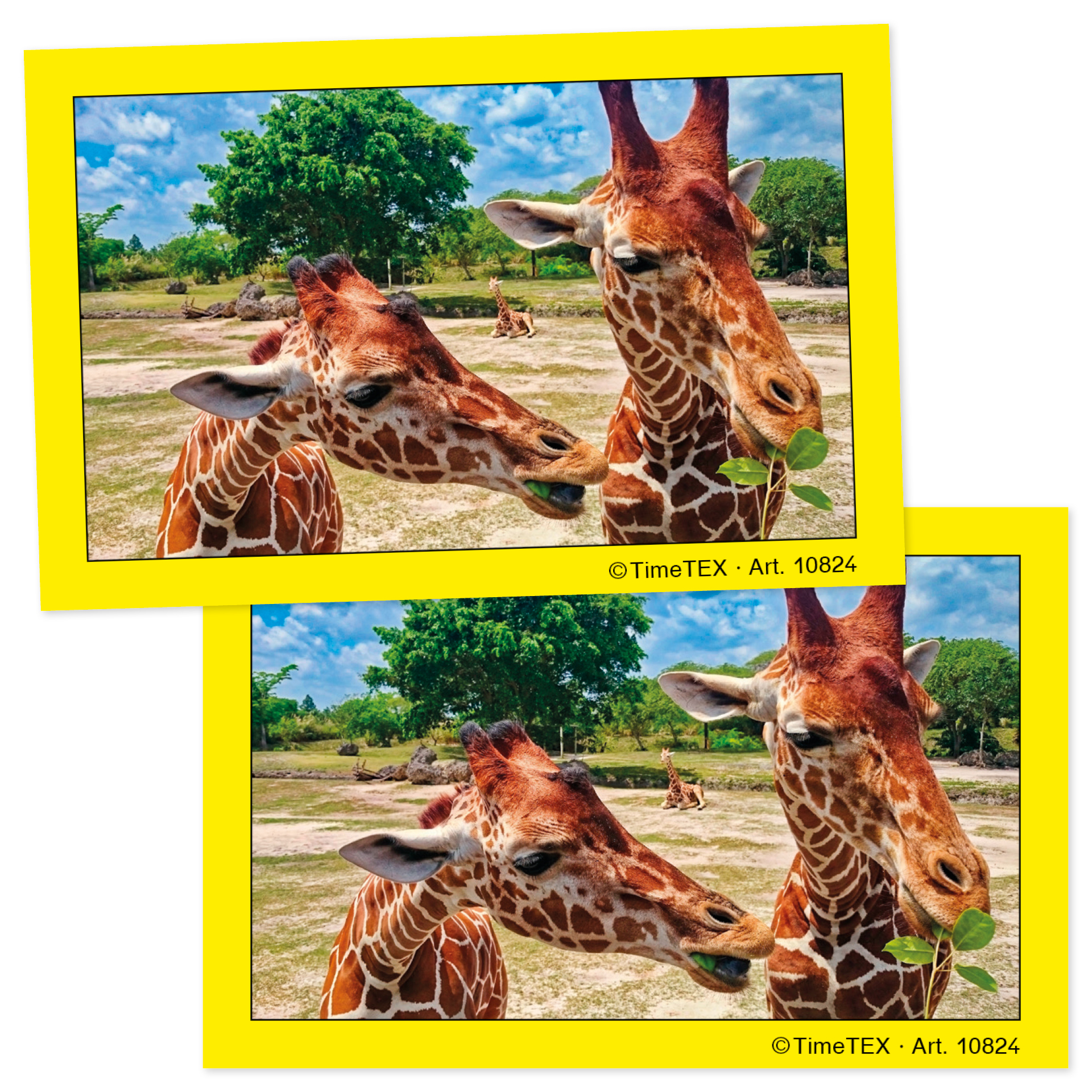 Jeu de memory animaux, 34 cartes 