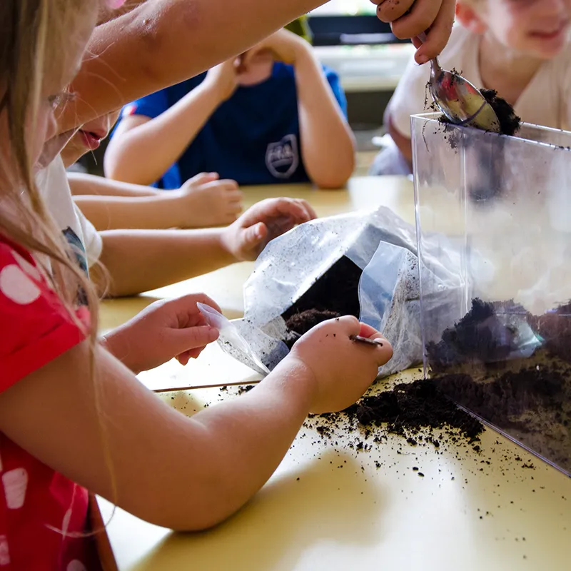 Beobachtungs-Set "Wurzeln + Regenwürmer", 13-tlg.