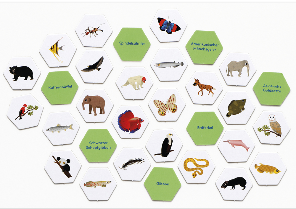 Hagemann Wimmel-Suchspiel "Dschungel", 308-tlg.