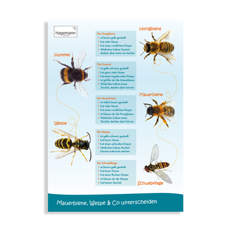 Set Bienen-Poster A2, 3-tlg.