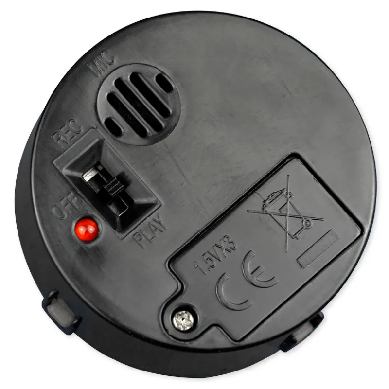 Sprach-Rekorder "Mini"