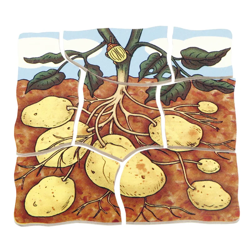 Schichten-Puzzle "Kartoffel", 30-tlg.