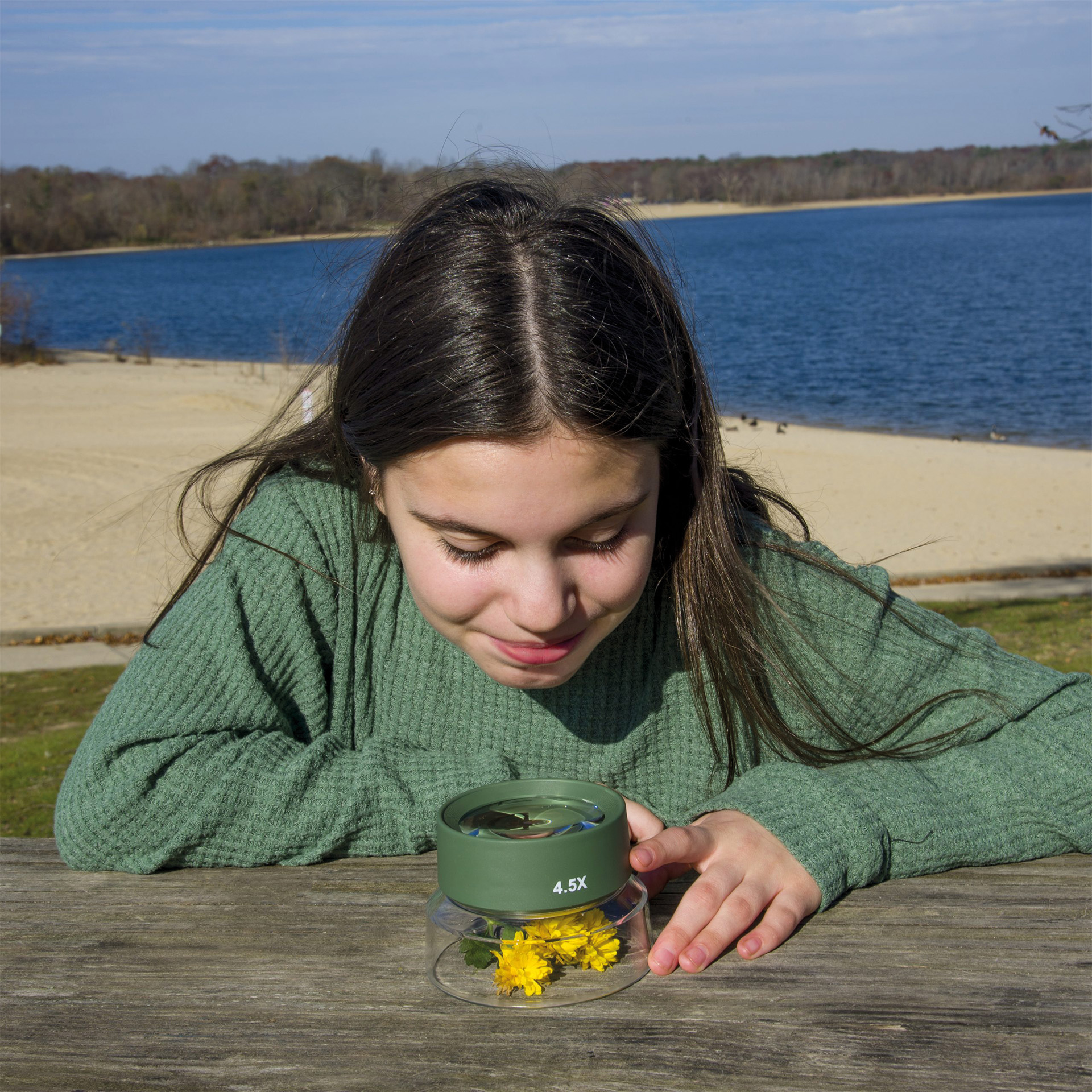 Insekten-Lupe, groß, 10,7 cm ø