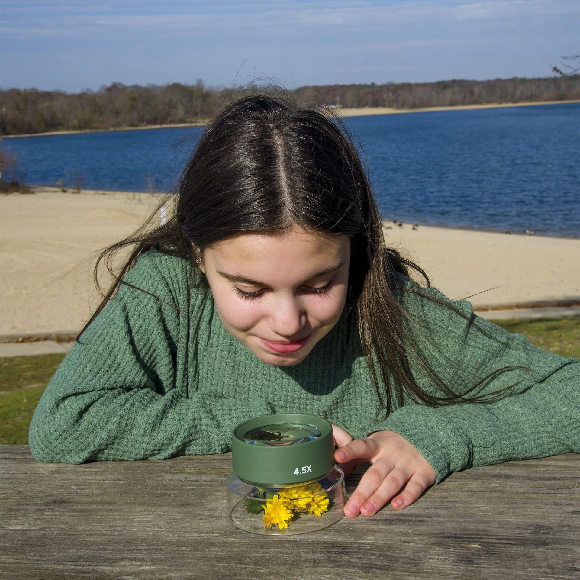 Insekten-Lupe, groß, 10,7 cm ø