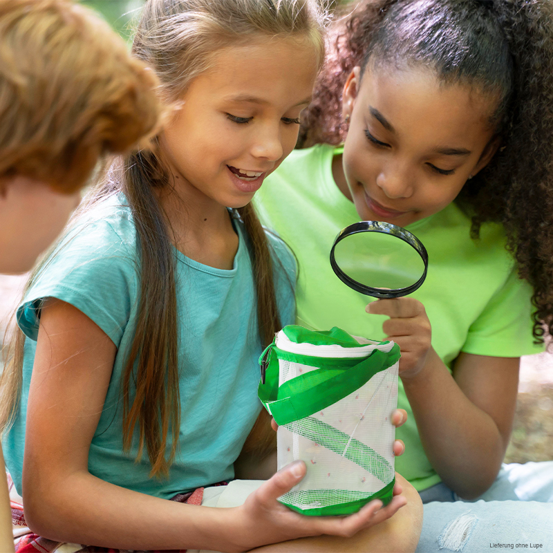 Panier en filet pour collecter les insectes