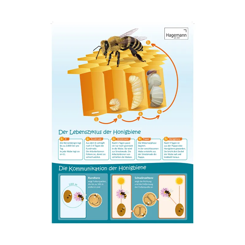 Set Bienen-Poster A2, 3-tlg.
