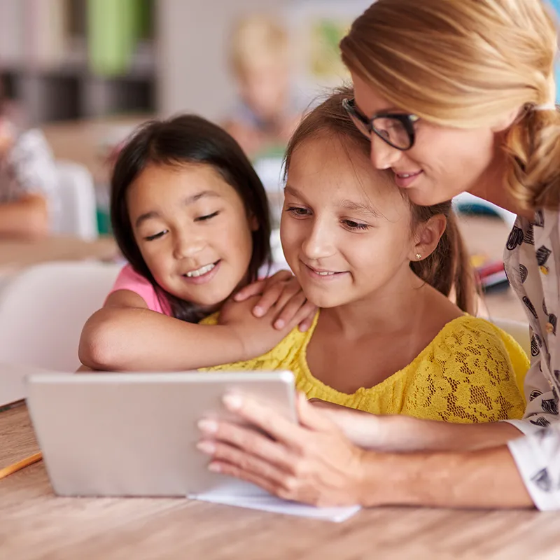 Modèle de cycle de vie « Abeille à miel », 4 pcs