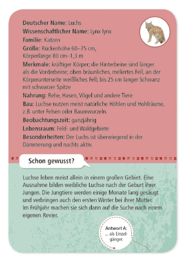 50 Wald- & Wildtiere entdecken und bestimmen