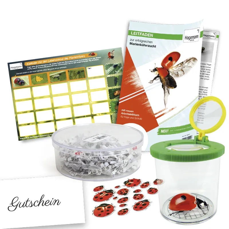 Klassen-Projektset "Tiere züchten + beobachten", 40-tlg.