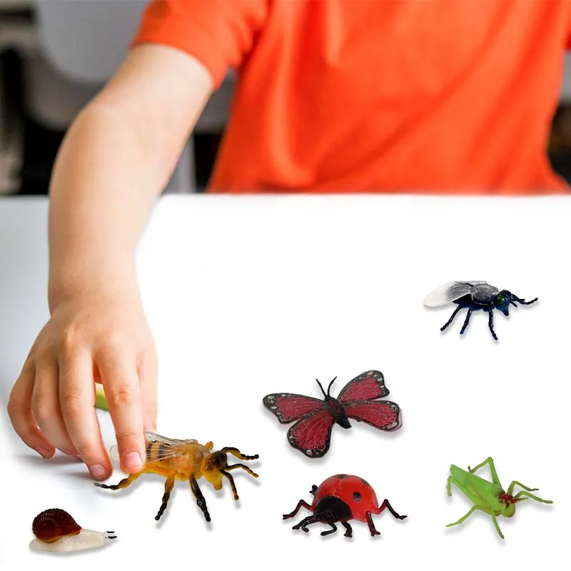 Modell "Insekten & Co.", 10-tlg.