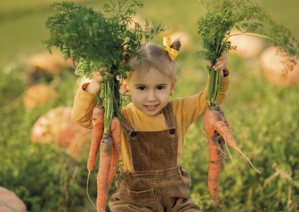 Buch "Matsch & Möhren - Mit Kindern den Garten entdecken", 144 Seiten