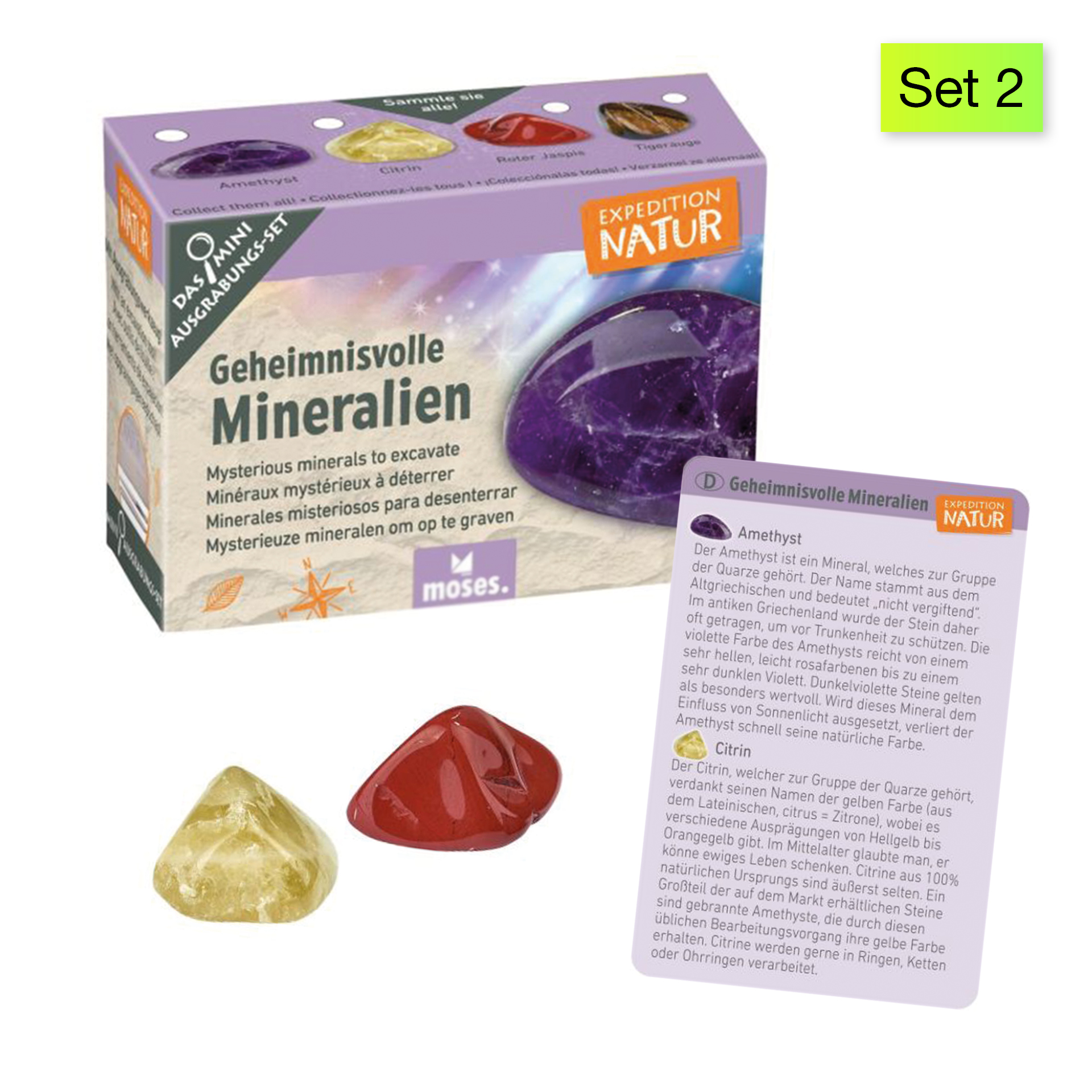 Ausgrabungs-Set "Schatzsuche", klein Ausgrabungs-Set "Schatzsuche", klein